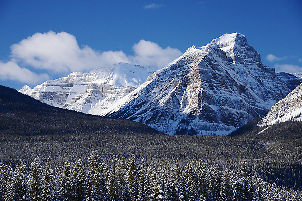 포토 JPG 해외이미지 공원 캐나다 겨울 자연 산 풍경 사람없음 야외 얼음 추위 흰색 빙하 장면 밴프 빙원 앨버타 전국 절정 눈내림 로키산맥 해외포토 자연요소 계절 공공시설 컬러 북아메리카 눈_날씨 생태계 파일형식 이미지허브