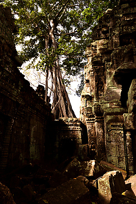 포토 JPG 해외이미지 나무 전통 아시아 종교 문화 벽 조각 여행 불교 건축양식 벽돌 동양인 사람없음 조각상 여행객 탑 사찰 역사 재산 숲 폐허 캄보디아 고고학 무도회 옛날 해외포토 식물 건축물 교육 건축 나라 종교건축 사람 인종 금융 조형물 파일형식 이미지허브