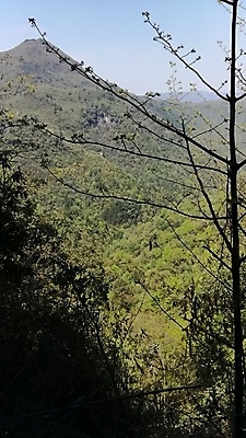 포토 JPG 해외이미지 산 사람없음 안개 언덕 드럼 내추럴 절정 해외포토 날씨 타악기 파일형식 이미지허브