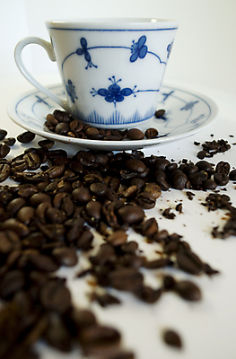 포토 JPG 해외이미지 꽃 커피 음료 건조 씨앗 사람없음 장식 컵 파란색 수확 골동품 뜨거움 성분 카페테리아 옛날 해외포토 식물 식기 컬러 농업 파일형식 이미지허브