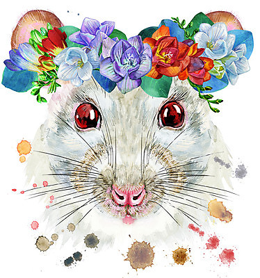 JPG 해외이미지 디자인 백그라운드 일러스트 미술 사람없음 화관 쥐 해외일러스트 꽃 문화예술 설치류 파일형식 이미지허브