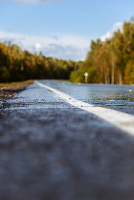 포토 JPG 해외이미지 나무 계절 도로 길 선 여행 백그라운드 무늬 자동차 자연 하늘 새로움 산 거리 사람없음 야외 초록색 파란색 빛 컬러풀 햇빛 환경 시골 고속도로 숲 하락 언덕 엽서 장면 분열 길가 루트 옛날 소멸 해외포토 식물 육상교통 컬러 컨셉 교통시설 태양 편지 생태계 파일형식 이미지허브