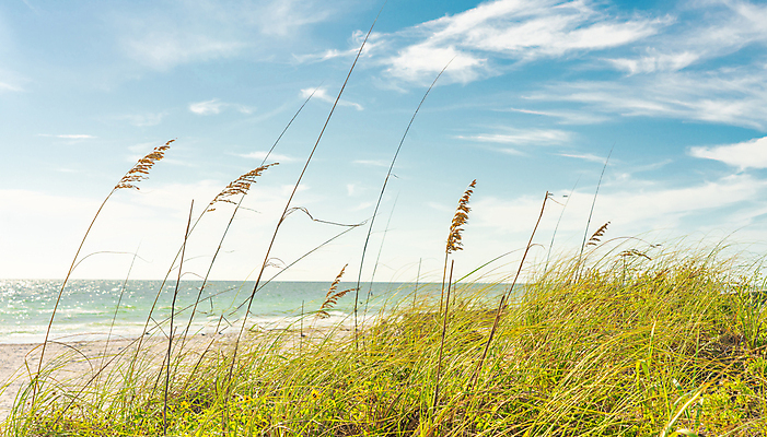 포토 JPG 해외이미지 식물 모래 바다 여행 백그라운드 자연 하늘 바람 휴가 휴식 건조 사람없음 야외 초록색 물 파란색 모래사장 햇빛 태양 우주 환경 맑음 흰색 모래언덕 북쪽 내추럴 마이애미 수평선 플로리다 해외포토 자연요소 컬러 컨셉 날씨 미국 방향 언덕 생태계 파일형식 이미지허브