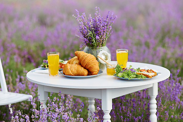 포토 JPG 해외이미지 주간 탁자 사람없음 야외 꽃병 보라색 주스 샐러드 크루아상 라벤더 해외포토 자연요소 꽃 음료 음식 빵 컬러 가구 허브 파일형식 이미지허브
