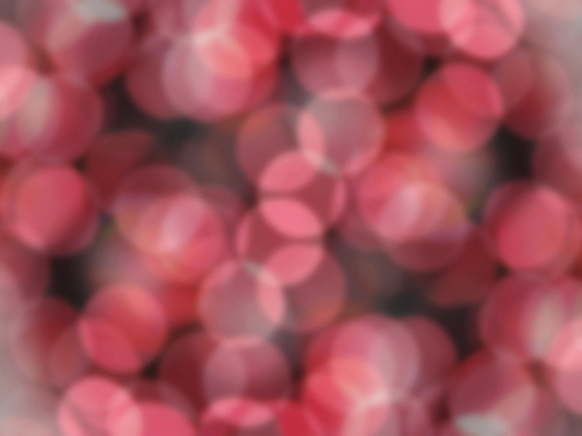 포토 JPG 해외이미지 나무 디자인 계절 실루엣 백그라운드 컨셉 크리스마스 패턴 벽지 추상 휴가 사람없음 장식 빨간색 초록색 빛 컬러풀 노란색 파티 검은색 축제 어둠 활발 기쁨 낭만 축하 점 원형 야간 소프트포커스 보케 강렬 광 노엘 블러 해외포토 자연요소 도형 식물 기념일 감정 컬러 무늬 촬영기법 이벤트 파일형식 이미지허브