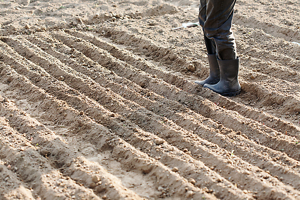 포토 JPG 해외이미지 식물 지구 음식 백그라운드 신발 밭 농업 채소 자연 부츠 사람없음 야외 초록색 농장 정원 검은색 어둠 흙 봄 성장 시골 업무 보호 땅 준비 원예 먼지 고립 땅바닥 밭일 심기 파종 세련 해외포토 계절 산업 컬러 컨셉 모션 바닥 취미 농사 작업 생태계 파일형식 이미지허브