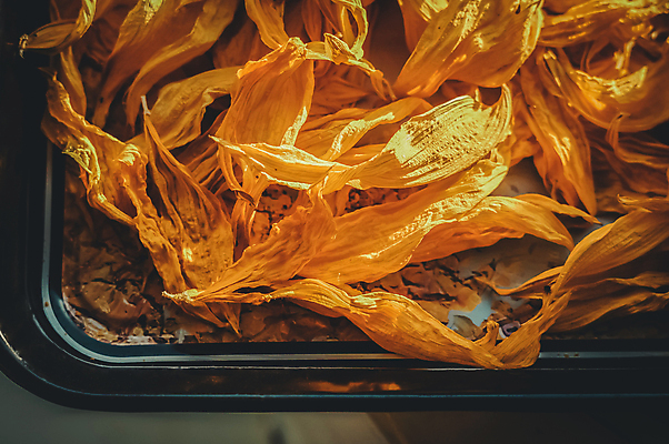 포토 JPG 해외이미지 식물 계절 꽃잎 꽃 백그라운드 잎 꽃무늬 패턴 재료 자연 추상 건조 건강 사람없음 장식 약 노란색 쌓기 약재 그룹 떨어짐 수집 허브 묘사 오브젝트 질감 향기 아로마 흙더미 자연요법 치료제 많음 해외포토 컬러 컨셉 무늬 의학 모션 흙 생태계 냄새 파일형식 더미 이미지허브