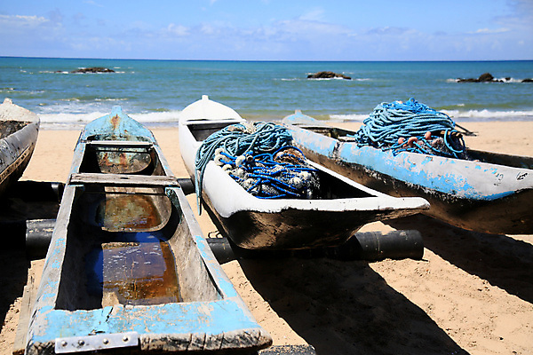 포토 JPG 해외이미지 전통 호수 파도 바다 자연 어류 어업 사람없음 야외 목재 물 관광지 강 연못 만 어선 보트 산호 어부 해산물 함선 카누 노젓기 어장 내추럴 파라다이스 브라질사람 해외포토 자연요소 나무 직업 산업 여행 배_교통 재료 모션 수중동물 수상스포츠 자포동물 생태계 파일형식 이미지허브
