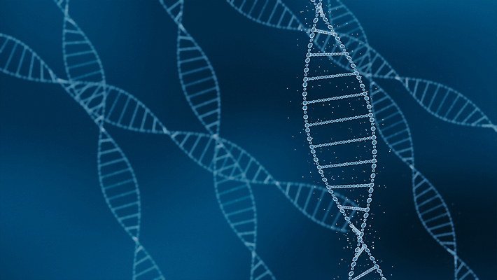 포토 JPG 해외이미지 과학 백그라운드 컨셉 신체 일러스트 추상 세포 나선형 건강 사람없음 파란색 약 3D 건강관리 디지털 암호 약초 DNA 생명공학 분석 생물학 염색체 바이오 복제 블러 유전 해외일러스트 교육 컬러 무늬 의학 관리 풀_식물 디지털합성 파일형식 이미지허브