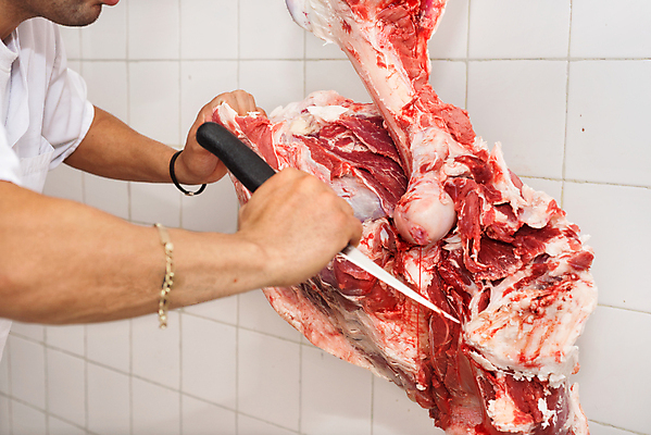 포토 JPG 해외이미지 동물 직업 손 산업 음식 조각 유니폼 탁자 노동자 직장 관리 육류 스테이크 비프스테이크 사람 성인 사람없음 빨간색 상점 앞치마 소고기 흰색 신선 작업 시장 칼 닫기 자르기 준비 날것 수납 소매 방법 생식 정육점 개조 해외포토 옷 컬러 가구 식재료 회사 모션 서양음식 신체부위 파일형식 이미지허브