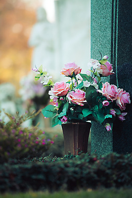 포토 JPG 해외이미지 꽃 조각 꽃다발 사랑 사람없음 빛 햇빛 태양 장미 평화 공백 슬픔 죽음 무덤 이별 묘사 애도 신성 천국 장례 떠남 블러 신앙심 장례식 추모 카피스페이스 해외포토 자연요소 식물 감정 컨셉 모션 파일형식 이미지허브