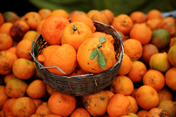 포토 JPG 해외이미지 귤 실내 사람없음 바구니 가득함 담기 해외포토 과일 모션 내부 파일형식 이미지허브