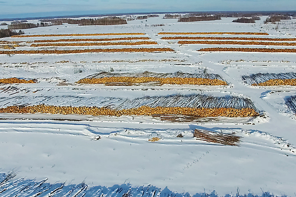 포토 JPG 해외이미지 나무 산업 겨울 자연 사람없음 야외 목재 갈색 세일 쌓기 환경 중국 에너지 수확 시골 신선 업무 상품 주식 숲 큼 자르기 천 목수 준비 날것 러시아 통나무 수납 자원 잡동사니 내추럴 개발 땅바닥 벌목 부정부패 생태학 수목 시베리아 해외포토 식물 직업 계절 교육 유럽 아시아 컬러 농업 재료 모션 바닥 금융 직물 작업 크기 생태계 파일형식 이미지허브
