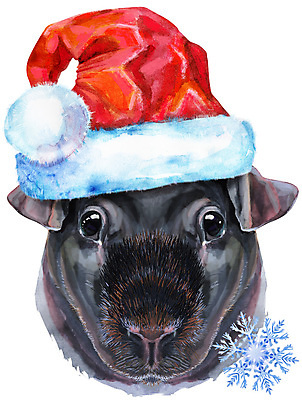 포토 JPG 해외이미지 캐릭터 크리스마스 일러스트 산타모자 수채화 미술 사람없음 반려동물 눈송이 기니피그 눈꽃무늬 해외일러스트 동물 모자_잡화 기념일 무늬 포유류 문화예술 눈꽃 눈 파일형식 이미지허브