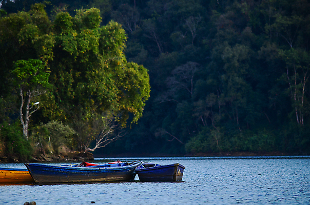 포토 JPG 해외이미지 나무 식물 아시아 도로 여행 백그라운드 낙엽 잎 자연 아침 산 풍경 사람없음 야외 초록색 여름 태양 환경 침묵 트래킹 안개 성장 시골 소나무 숲 뿌리 장면 지역 굴곡 방법 파라다이스 해외포토 주간 자연요소 계절 나라 길 컬러 교통시설 레저 날씨 소리 생태계 파일형식 이미지허브