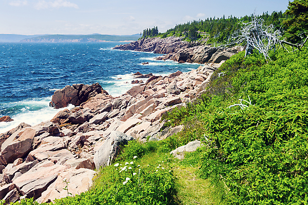 포토 JPG 해외이미지 바다 여행 캐나다 자연 국립공원 사람없음 야외 빛 맑음 흰색 만 대서양 해외포토 공원 컬러 북아메리카 날씨 생태계 파일형식 이미지허브