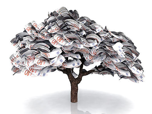 포토 JPG 해외이미지 나무 컨셉 잎 돈 비즈니스 자연 성공 아이디어 사람없음 초록색 금융 경제 저축 유로 보호 심볼 사인 투자 관심 생태학 해외포토 식물 교육 컬러 재산 생태계 파일형식 이미지허브