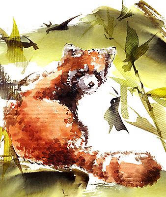 포토 JPG 해외이미지 식물 동물 아시아 잎 곰 자연 잉크 미술 사람없음 빨간색 페인트 흰색 붓 떨어짐 숲 판다 스케치 인도인 대나무 그림 질감 솜털 고립 그런지 동물상 타격 해외포토 외국인 나무 나라 컬러 컨셉 포유류 모션 문화예술 동양인 조형물 생태계 파일형식 이미지허브