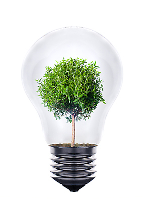 포토 JPG 해외이미지 식물 실루엣 지구 컨셉 잎 전구 유리 미래 아이디어 사람없음 초록색 빛 글로벌 햇빛 태양 환경 재활용 행성 에너지 램프 심볼 복지 에코 친환경 생태계 윤곽 자원 해결 유지 낭비 내추럴 혁명 고립 발명 방법 생태학 해외포토 자연요소 교육 컬러 재질 조명 촬영기법 우주 사회이슈 파일형식 이미지허브