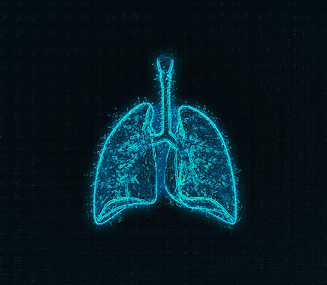 포토 JPG 해외이미지 남자 과학 백그라운드 신체 일러스트 해부 추상 골격 엑스레이 건강 사람 사람없음 내부 그래픽 파란색 약 3D 고통 흰색 오르간 호흡기관 호흡 질병 만화 뇌 생물학 시스템 암 고립 궤 돌봄 해외일러스트 교육 감정 컬러 무늬 의학 모션 장기_의학 건반악기 디지털합성 파일형식 이미지허브