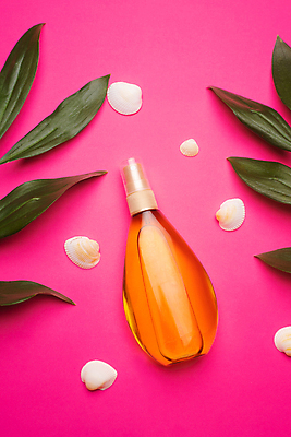 포토 JPG 해외이미지 스튜디오촬영 분홍색 사람없음 화장품 미용용품 풀잎 조개껍데기 오일 오브젝트 썬텐오일 태닝오일 해외포토 음식 컬러 잎 조개 실내 뷰티 풀_식물 선탠 파일형식 이미지허브