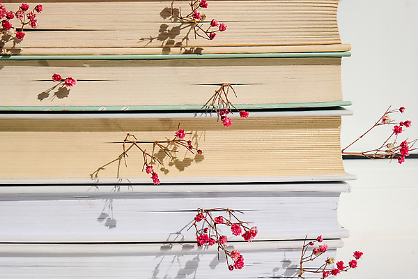 포토 JPG 해외이미지 실내 사람없음 장식 책 쌓기 분위기 감성 안개꽃 해외포토 꽃 컨셉 모션 내부 한해살이풀 파일형식 이미지허브