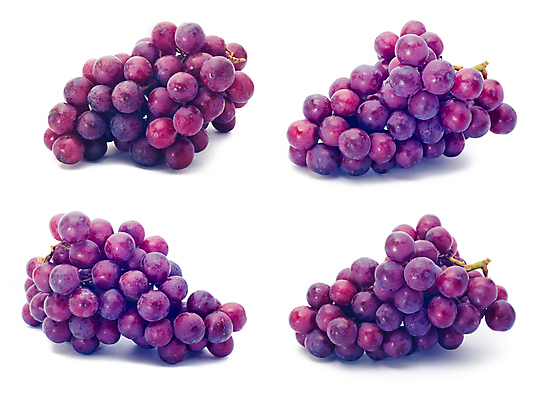 포토 JPG 해외이미지 식물 계절 열매 음식 백그라운드 잎 농업 과일 재료 자연 포도 디저트 건강 사람없음 빨간색 초록색 와인 보라색 식사 주스 젖음 수확 가을 흰색 나뭇가지 신선 그룹 달콤 맛 떨어짐 다발 수집 유기농 포도나무 비타민 내추럴 고립 숙성 양조장 채식주의자 해외포토 나무 웰빙 산업 음료 컬러 컨셉 주류 과일나무 생태계 채식 영양소 파일형식 이미지허브