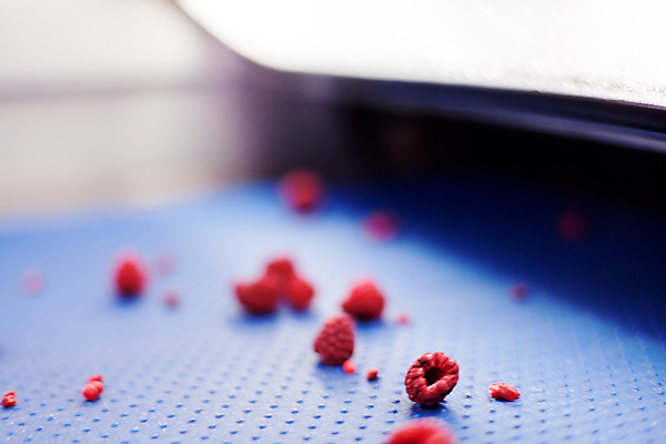 포토 JPG 해외이미지 공장 사람없음 아웃포커스 냉동 기계 제조 산딸기 식품공장 냉동식품 해외포토 음식 과일 공업 촬영기법 파일형식 이미지허브