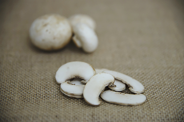 포토 JPG 해외이미지 식물 음식 백그라운드 다이어트 채소 재료 자연 파슬리 건강 요리 사람없음 갈색 식사 버섯 수확 흰색 신선 그룹 칼 맛 정상 자르기 먹기 유기농 날것 슬라이스 내추럴 고립 곰팡이 생식 숙성 식용 정육점 채식주의자 비건 맛있는 해외포토 웰빙 컬러 컨셉 농업 모션 상점 생태계 채식 파일형식 이미지허브