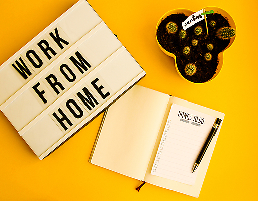 포토 JPG 해외이미지 화분 선인장 실내 사람없음 하이앵글 공책 재택근무 노란배경 라이트박스 선인장화분 투두리스트 해외포토 식물 뷰포인트 백그라운드 비즈니스 문구용품 내부 노란색 리스트 파일형식 이미지허브