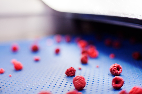 포토 JPG 해외이미지 공장 사람없음 아웃포커스 냉동 기계 제조 산딸기 식품공장 냉동식품 해외포토 음식 과일 공업 촬영기법 파일형식 이미지허브