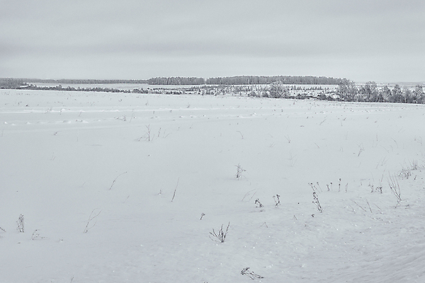 포토 JPG 해외이미지 나무 식물 구름 계절 공원 여행 백그라운드 겨울 밭 자연 하늘 지붕 날씨 산 주택 흑백 풍경 초원 사람없음 야외 목재 빛 울타리 뷰티 마을 환경 냉동 검은색 추위 흰색 시골 기둥 숲 오두막 언덕 서리 장면 상록수 침엽수 전나무 교외 제설기 가문비나무 수평선 해외포토 자연요소 공공시설 건축 컬러 농업 재료 촬영기법 건물 담장 생태계 제설 파일형식 이미지허브
