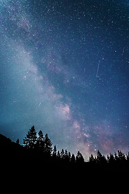 포토 JPG 해외이미지 나무 실루엣 별 밤하늘 사람없음 야외 분위기 야간 감성 몽환 해외포토 자연요소 식물 컨셉 하늘 촬영기법 파일형식 이미지허브