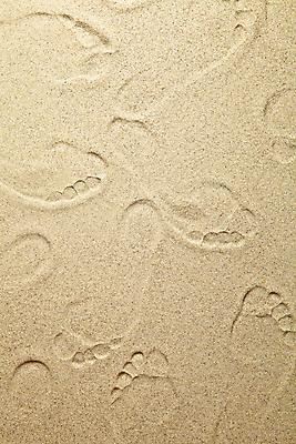 포토 JPG 해외이미지 모래 바다 백그라운드 패턴 자연 벽지 표면 휴가 사람없음 야외 여름 빛 모래사장 우주 산책 사막 황금 인쇄 발자국 모래언덕 묘사 흔적 질감 내추럴 양발 카피스페이스 해외포토 계절 무늬 자국 휴식 공백 언덕 생태계 파일형식 이미지허브