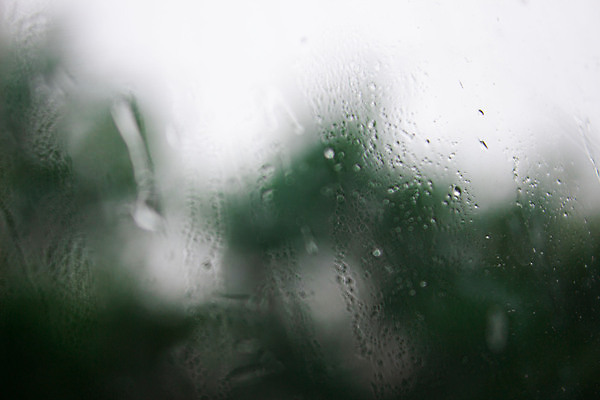 포토 JPG 해외이미지 백그라운드 창문 자연 유리 날씨 추상 사람없음 물 젖음 흐름 물방울 투명 떨어짐 소프트포커스 수분 시원함 빗방울 질감 해외포토 자연요소 컨셉 무늬 재질 촬영기법 비_날씨 생태계 파일형식 이미지허브