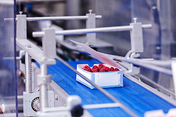 포토 JPG 해외이미지 공장 사람없음 냉동 기계 제조 담기 산딸기 포장용기 식품공장 냉동식품 해외포토 음식 과일 공업 모션 포장재료 파일형식 이미지허브