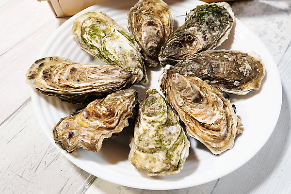 포토 JPG 해외이미지 접시 음식 바다 백그라운드 조개 연체동물 건강 어류 사람없음 식당 껍질 굴 신선 오픈 고급 먹기 해산물 날것 석판 식용 식품점 해외포토 식기 컨셉 모션 어패류 무척추동물 상점 수중동물 파일형식 이미지허브