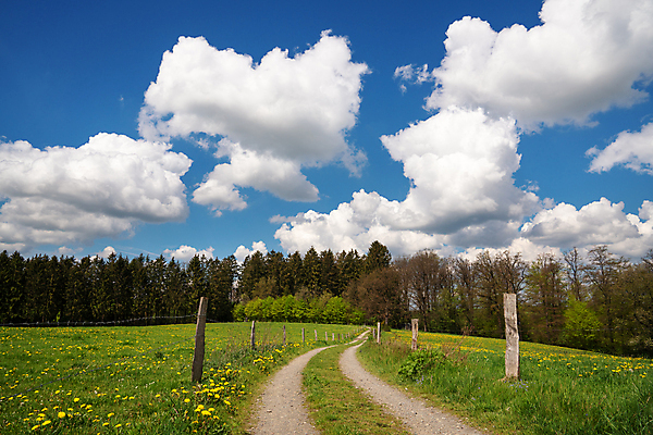 포토 JPG 해외이미지 나무 식물 구름 유럽 길 여행 자연 하늘 독일 파노라마 풍경 초원 사람없음 야외 여름 환경 봄 하이킹 시골 오솔길 생태계 내추럴 방법 해외포토 자연요소 계절 나라 레저 촬영기법 파일형식 이미지허브