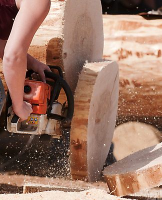 포토 JPG 해외이미지 조각 사람없음 경쟁 칼날 치아 자르기 통나무 잡동사니 더블 벌목 수목 전기톱 해외포토 나무 컨셉 모션 소화기관 톱 파일형식 이미지허브