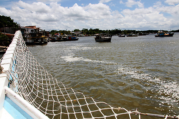 포토 JPG 해외이미지 스포츠 파도 바다 여행 이동 교통시설 자연 낚시 휴가 함께함 건강 앉기 풍경 사람없음 야외 목재 물 여름 빛 강 여행객 수영 젖음 보트 카누 낚시꾼 카약 수족관 노젓기 네비게이션 석호 해외포토 자연요소 나무 계절 교통 컨셉 배_교통 재료 모션 레저 사람 수상스포츠 시설 생태계 파일형식 이미지허브