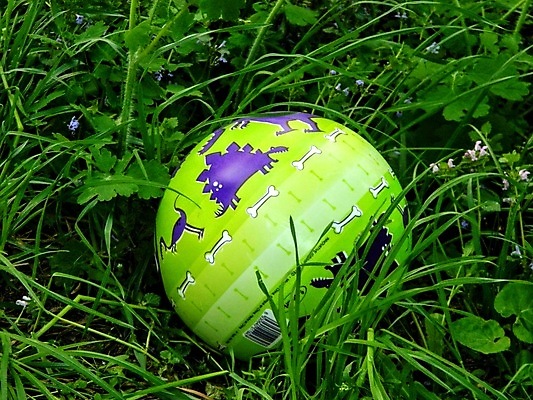 포토 JPG 해외이미지 식물 손 디자인 산업 지구 여행 백그라운드 컨셉 잎 지도 밭 비즈니스 공 자연 유리 추상 잔디 사람없음 초록색 파란색 세계 글로벌 햇빛 지구본 여행객 우주 환경 분위기 큼 크리스탈 땅 심볼 대륙 에코 정사각형 보케 위치 보호자 돌봄 생태학 여의주 지리 디테일 해외포토 도형 교육 컬러 무늬 농업 모션 재질 사람 신체부위 태양 크기 광석 생태계 파일형식 이미지허브