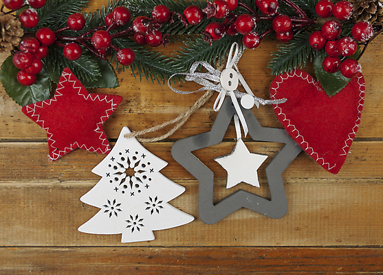 포토 JPG 해외이미지 나무 식물 전통 계절 백그라운드 크리스마스장식 크리스마스 겨울 텍스트 탁자 휴가 새로움 프레임 선물 사람없음 목재 장식 빨간색 장난감 우주 공백 수확 골동품 흰색 나뭇가지 시골 축하 판넬 신용카드 정상 연도 에코 생태계 복고 엽서 초대 전나무 구성 가문비나무 국경 해외포토 기념일 컬러 가구 컨셉 농업 재료 금융 환경 편지 파일형식 이미지허브