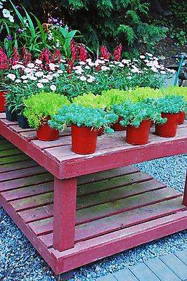 포토 JPG 해외이미지 식물 꽃 잎 꽃무늬 자연 사람없음 초록색 컬러풀 정원 봄 벚꽃 냄비 해외포토 계절 컬러 무늬 솥 생태계 파일형식 이미지허브