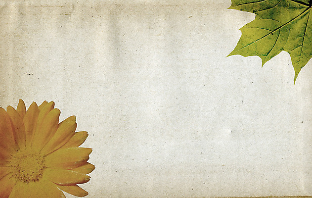 포토 JPG 해외이미지 식물 꽃 종이 백그라운드 꽃무늬 자연 표면 날씨 추상 프레임 사람없음 책 갈색 노란색 우주 쪽지 공백 수확 덮개 점 거친 주름 균열 황폐 질감 문서 복고 심플 캔버스 페이지 스크래치 찢어짐 판지 구식 그런지 세피아 양피지 옛날 원고 파피루스 노화 스타일 해외포토 컬러 컨셉 무늬 농업 모션 촬영기법 뚜껑 생태계 파일형식 이미지허브