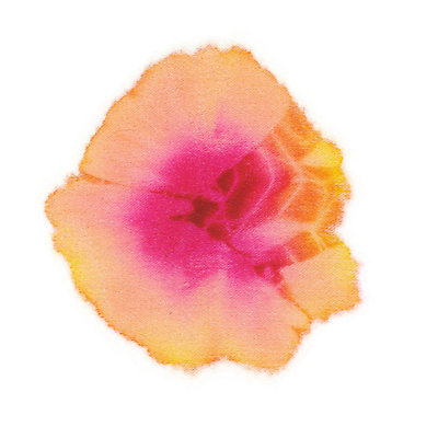 포토 JPG 해외이미지 디자인 분홍색 백그라운드 일러스트 추상 선물 미술 사람없음 장식 컬러풀 장미 흰색 직물 신용카드 실크 심볼 그림 모음 고립 핸드메이드 히피 스타일 효과 해외일러스트 꽃 컬러 무늬 문화예술 한글 금융 파일형식 이미지허브