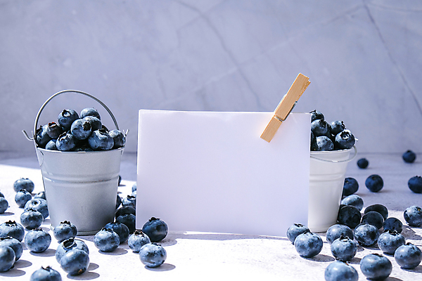 포토 JPG 해외이미지 배너 사각프레임 실내 그림자 사람없음 신선 달콤 양동이 흰배경 담기 블루베리 빨래집게 카피스페이스 해외포토 백그라운드 과일 모션 프레임 집게 내부 사각형 공백 흰색 맛 파일형식 이미지허브