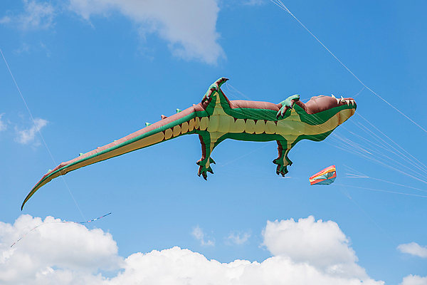 포토 JPG 해외이미지 구름 줄 스포츠 무지개 하늘 바람 휴가 비행기 이벤트 취미 사람없음 야외 여름 파란색 컬러풀 장난감 숫자 보라색 축제 경쟁 자유 외계인 흰색 용 원숭이 호주 큼 연 신호 UFO 악어 문어 상어 교외 무료 해외포토 자연요소 문자 계절 컬러 컨셉 포유류 항공교통 파충류 날씨 대중교통 연체동물 어류 놀이용품 수중동물 미확인물체 오세아니아 크기 파일형식 이미지허브