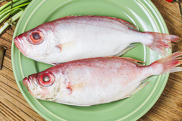 포토 JPG 해외이미지 동물 음식 바다 분홍색 백그라운드 다이어트 자연 낚시 생물 건강 어류 요리 사람없음 빨간색 세일 주방 흰색 신선 입 시장 큼 먹기 해산물 꼬리 날것 내추럴 고립 맛있는 해외포토 컬러 모션 레저 신체부위 수중동물 크기 생태계 파일형식 이미지허브