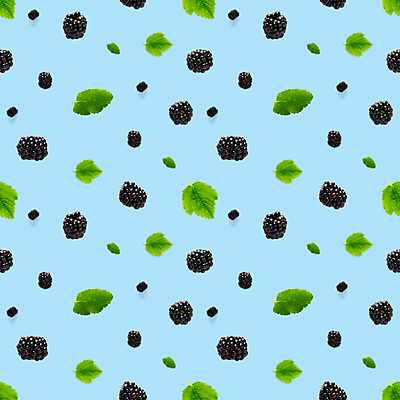 포토 JPG 해외이미지 하늘색 잎 패턴 사람없음 블랙베리 해외포토 식물 무늬 과일 파란색 파일형식 이미지허브