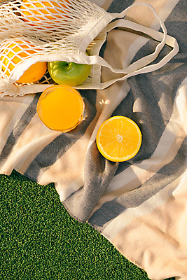 포토 JPG 해외이미지 주간 가방 오렌지 잔디 사람없음 야외 하이앵글 소풍 사과 오렌지주스 돗자리 청사과 해외포토 자연요소 식물 잡화 뷰포인트 과일 야외활동 과일주스 파일형식 이미지허브